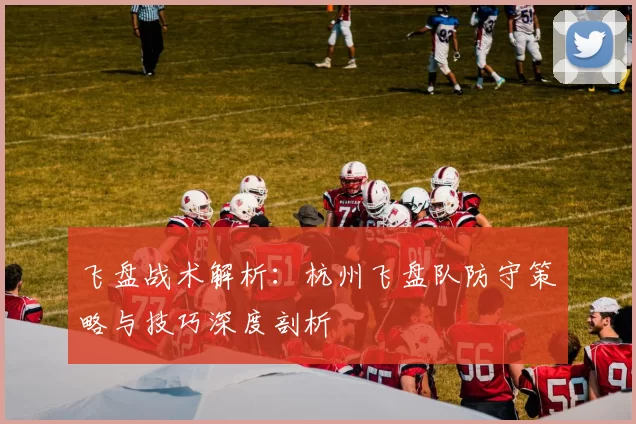 飞盘战术解析：杭州飞盘队防守策略与技巧深度剖析