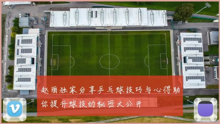 赵丽独家分享乒乓球技巧与心得助你提升球技的秘密大公开