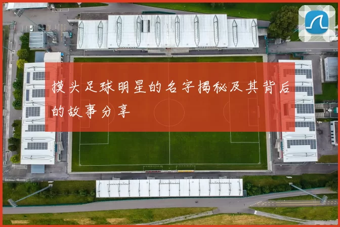 摸头足球明星的名字揭秘及其背后的故事分享