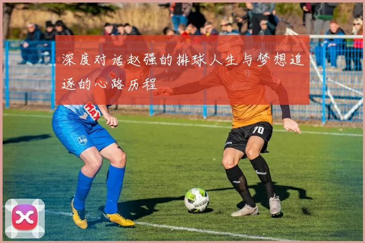 深度对话赵强的排球人生与梦想追逐的心路历程