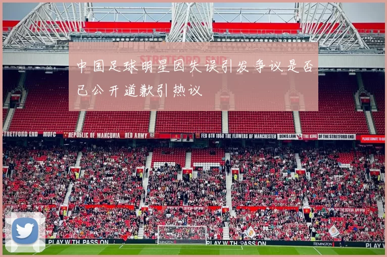 中国足球明星因失误引发争议是否已公开道歉引热议