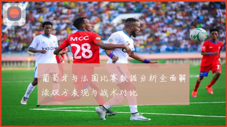 葡萄牙与法国比赛数据分析全面解读双方表现与战术对比