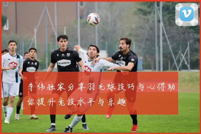 李伟独家分享羽毛球技巧与心得助你提升竞技水平与乐趣