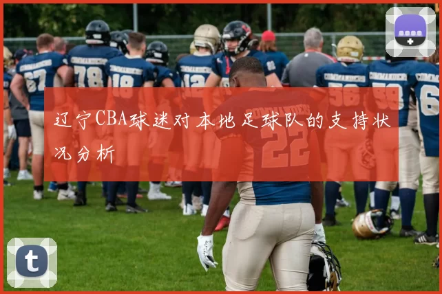 辽宁CBA球迷对本地足球队的支持状况分析