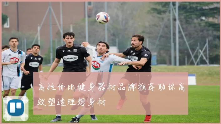 高性价比健身器材品牌推荐助你高效塑造理想身材